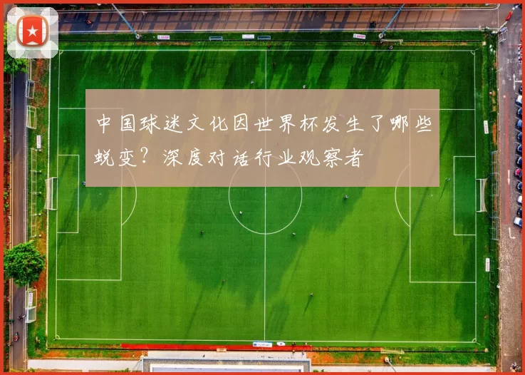 中国球迷文化因世界杯发生了哪些蜕变？深度对话行业观察者