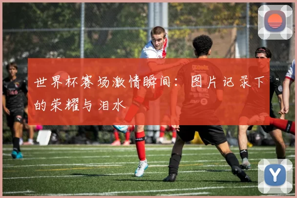 世界杯赛场激情瞬间：图片记录下的荣耀与泪水