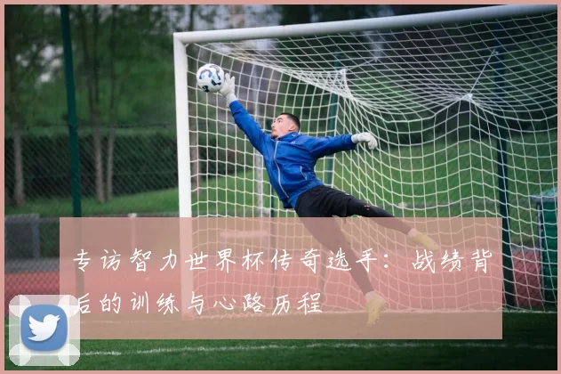 专访智力世界杯传奇选手：战绩背后的训练与心路历程