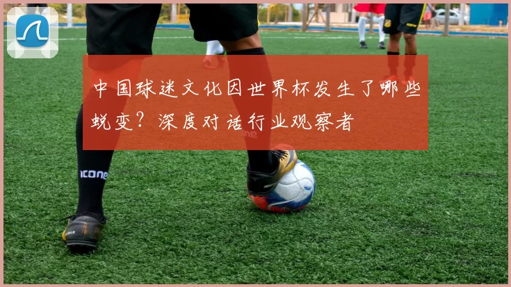 中国球迷文化因世界杯发生了哪些蜕变?深度对话行业观察者