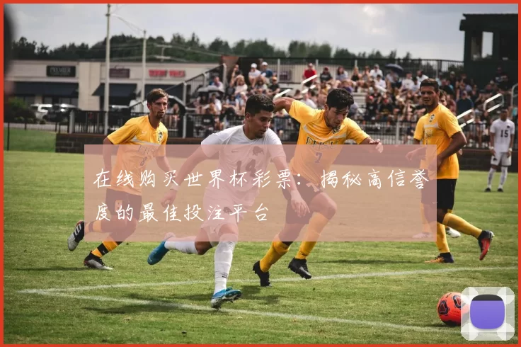 在线购买世界杯彩票：揭秘高信誉度的最佳投注平台