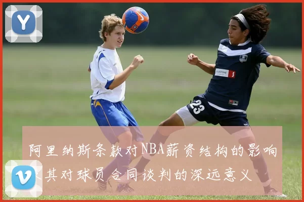 阿里纳斯条款对NBA薪资结构的影响及其对球员合同谈判的深远意义