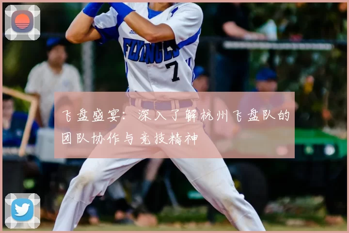 飞盘盛宴：深入了解杭州飞盘队的团队协作与竞技精神