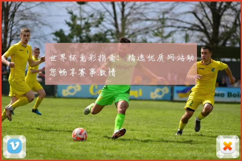 世界杯竞彩指南：精选优质网站助您畅享赛事激情