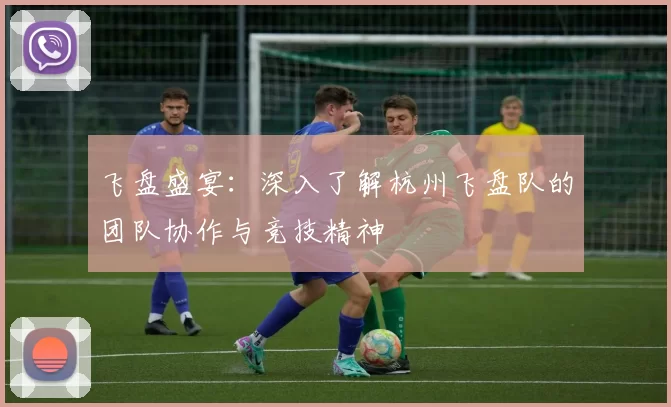 飞盘盛宴：深入了解杭州飞盘队的团队协作与竞技精神