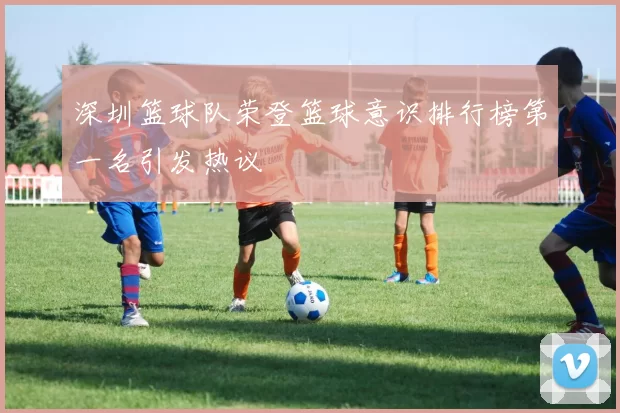 深圳篮球队荣登篮球意识排行榜第一名引发热议