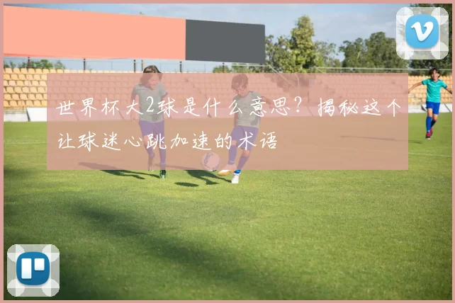 世界杯大2球是什么意思？揭秘这个让球迷心跳加速的术语