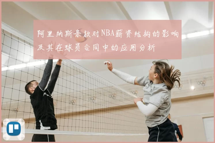 阿里纳斯条款对NBA薪资结构的影响及其在球员合同中的应用分析