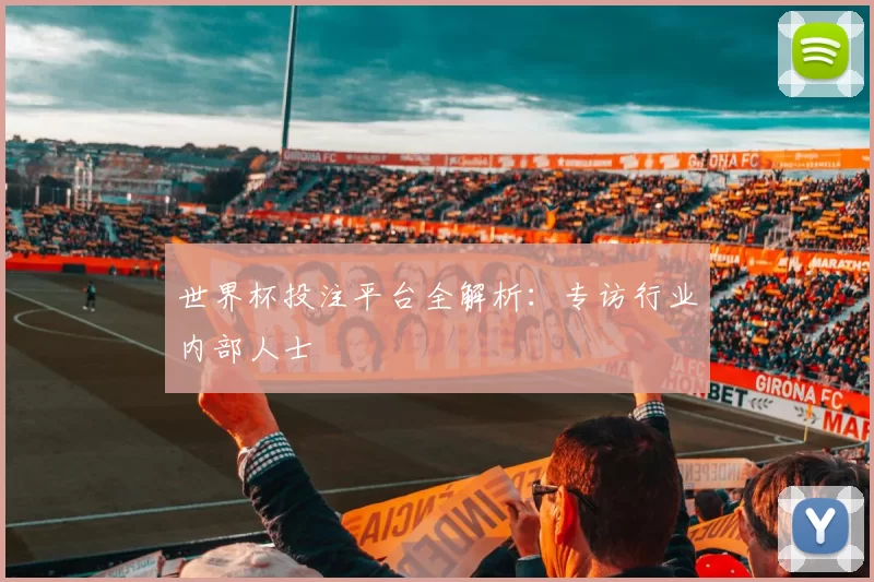 世界杯投注平台全解析:专访行业内部人士