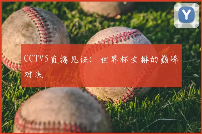 CCTV5直播见证：世界杯女排的巅峰对决