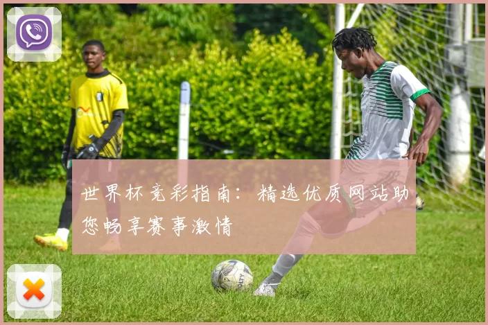 世界杯竞彩指南：精选优质网站助您畅享赛事激情